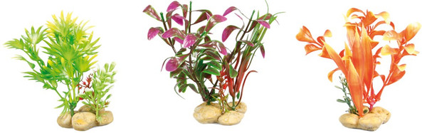 Flamingo f-406420 - Élégance Naturelle pour Intérieur
