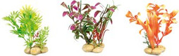 Flamingo f-406420 - Élégance Naturelle pour Intérieur