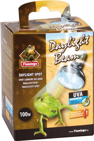 Flamingo f-405738 - Spot lumière du jour