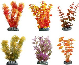 Flamingo f-406396 - Plante Tropicale Cuba Orange pour Aquarium