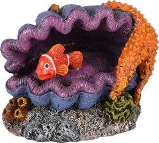 Flamingo f-410147 - Décoration Coquille Poisson