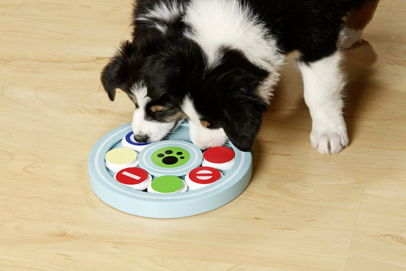 Flamingo f-43120 - Puppy Mind Stimulation MDF Braintrainer