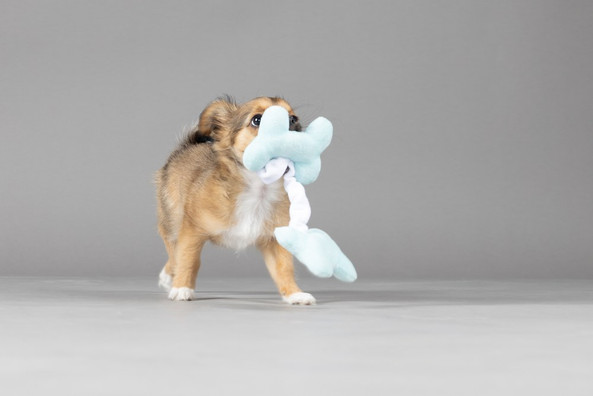 Flamingo f-47954 - Durable Plush Puppy Playtime Toy