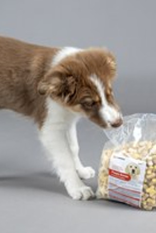 Flamingo f-501432 - Friandises Biscuit Bones