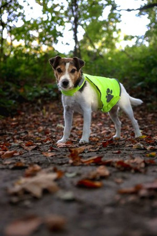 Flamingo f-507677 - Gillet de sécurité fluo