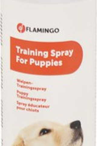 Flamingo f-507793 - Liquide dentrainement Chiot