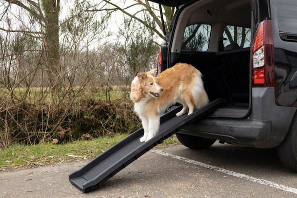 Flamingo f-512078 - Foldable Non-Slip Dog Ramp with Secure Lock