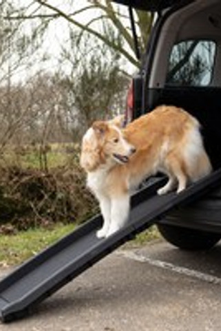 Flamingo f-512078 - Rampe Sécurisée Pliable pour Chiens