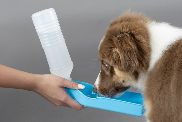 Flamingo f-512287 - Portable Pet Hydration Bottle with Bowl