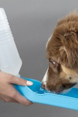 Flamingo f-512287 - Bouteille Gourde avec Gamelle Intégrée pour Chiens