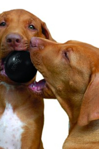 Kong® f-513367 - Kong Durable Pet Play Ball for Dogs