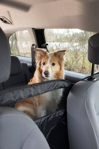 Flamingo f-513240 - Barrière de protection pour voiture