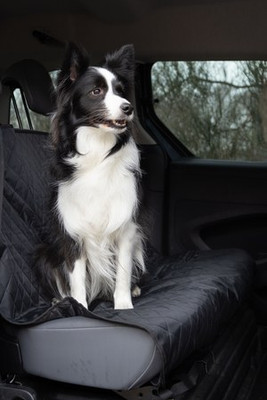 Flamingo f-516147 - Protège-siège de voiture Siège arrière