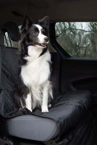 Flamingo f-516147 - Protège-siège de voiture Siège arrière