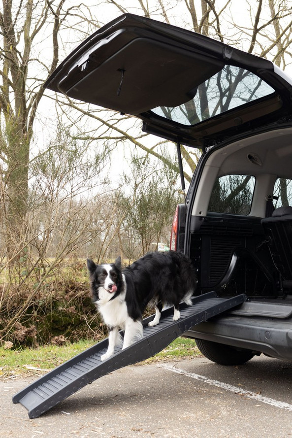 Flamingo f-516756 - Rampe Pliable Antidérapante pour Chiens