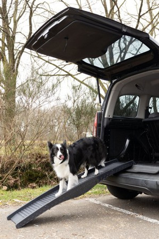 Flamingo f-516756 - Rampe Pliable Antidérapante pour Chiens