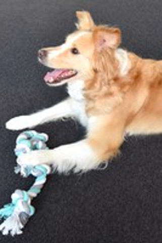 Flamingo f-517274 - Jouet Cordon avec 4 noeuds menthe