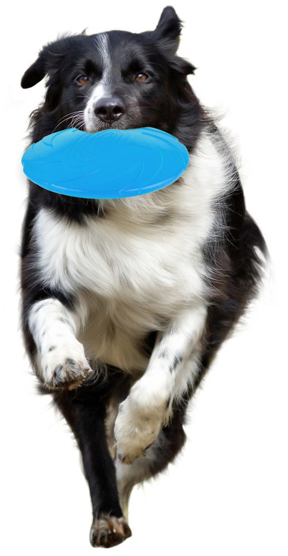 Flamingo f-517806 - Durable Rubber Dog Frisbee for Fetch Fun