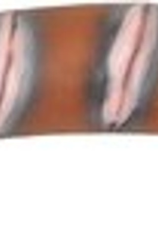 Flamingo f-517959 - Interactive Latex Squeaky Sausage Toy for Dogs