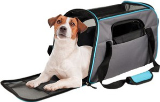 Flamingo f-518120 - Gisel Pet Travel Carrier with Safety Features