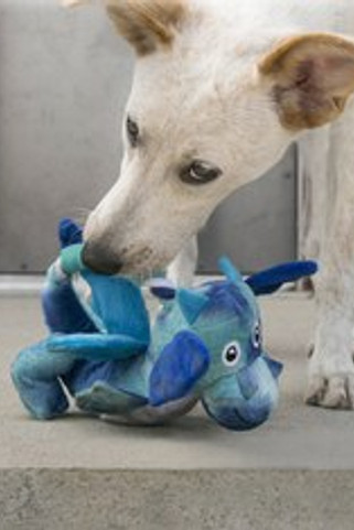 Kong® f-518549 - KONG Dragon Knots Interactive Dog Toy