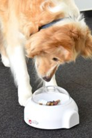 Flamingo f-518683 - Interactive Dog Treat Dispenser Toy