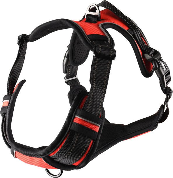 Flamingo f-519151 - Harnais Confortable pour Chiens Actifs