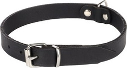 Flamingo f-5302054 - Elegant Black Rondo Dog Collar for Stylish Walks