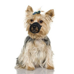 Flamingo f-53031 - Comfortable Dog Safety Muzzle with Breathable Mesh