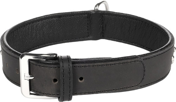 Flamingo f-5302110 - Collier en Cuir de Buffle avec Rivets Chromés