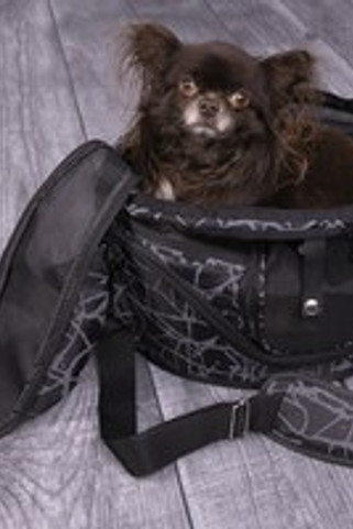 Flamingo f-5331398 - Sac de transport Gris foncé