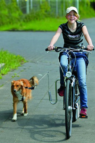 Flamingo f-5308389 - Kit de séparation pour vélo Argent