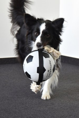 Flamingo f-5345416 - Jouet Ballon de football avec corde