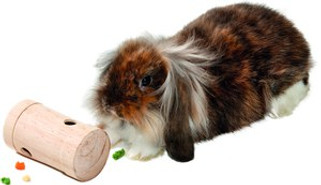 Flamingo f-5384300 - Jouet Distributeur de friandises Brun clair