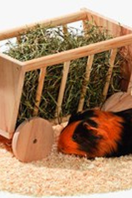 Flamingo f-5384308 - Wooden Hay Cart for Rabbits and Rodents