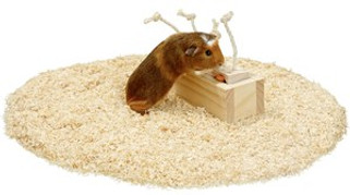 Flamingo f-5384344 - Jouet Brain train Armoire avec corde Brun clair