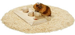 Flamingo f-5384342 - Jouet Brain trainavec balle Brun clair