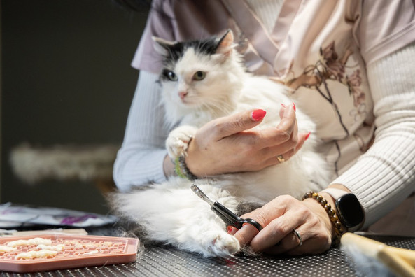 Flamingo f-560615 - Groo'Me Cat-Friendly Nail Clipper for Sharp Claws
