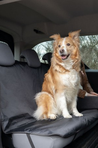 Flamingo f-60210 - Protège-siège de voiture Siège arrière Gris