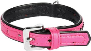 Flamingo f-69307 - Rhinestone & Silver Accented Colorful Dog Collar