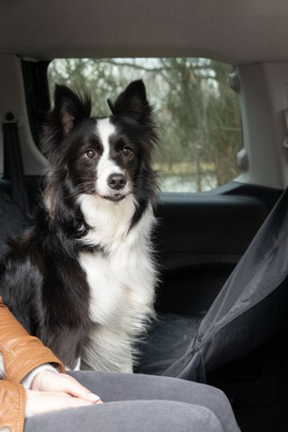 Flamingo f-68080 - Protège-siège de voiture Siège arrière