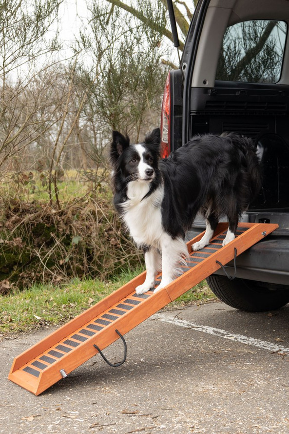 Flamingo f-87049 - Rampe en Bois Antidérapante pour Chiens Âgés