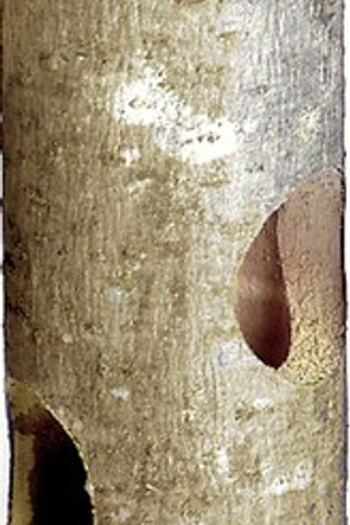 Flamingo f-84311 - Wooden Adventure Tunnel for Hamsters