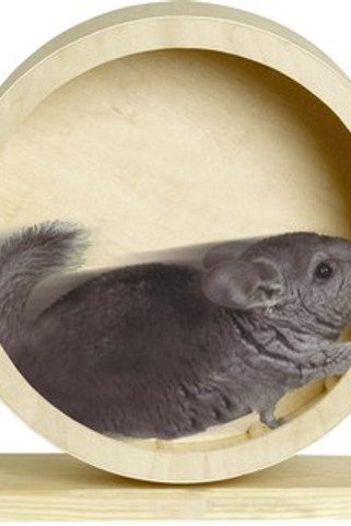 Flamingo f-84199 - Jouet Roue dexercice Brun clair