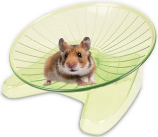 Flamingo f-210193 - Jouet Disque dexercice