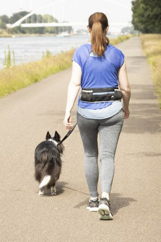 Flamingo f-519569 - Laisse pour le jogging avec ceinture ventrale