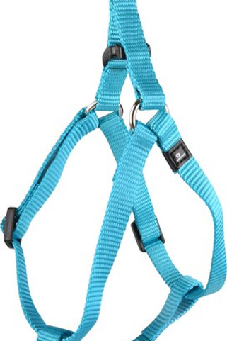 Flamingo f-519874 - Harnais Step&Go Turquoise