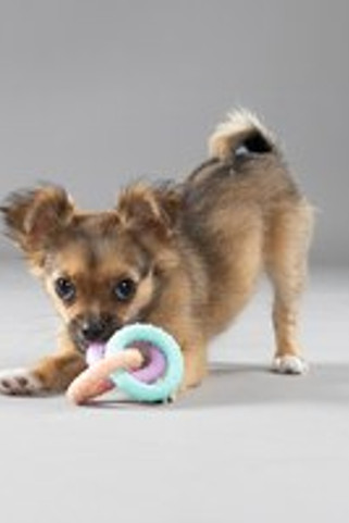 Flamingo f-519715 - Jouet Chiot Éléphant Os Anneau