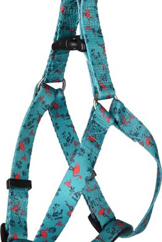 Flamingo f-520104 - Harnais Vert Flamant pour Chiens avec Système Click
