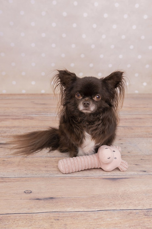 Flamingo f-520013 - Jouet Small Dog Cochon Idil Vieux rose